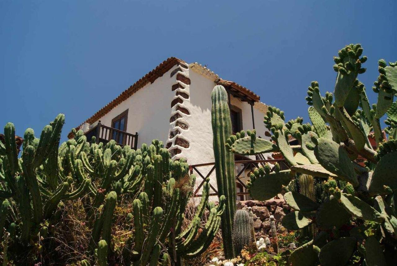 Casa Rural El Olivar La Molienda Santa Lucia エクステリア 写真