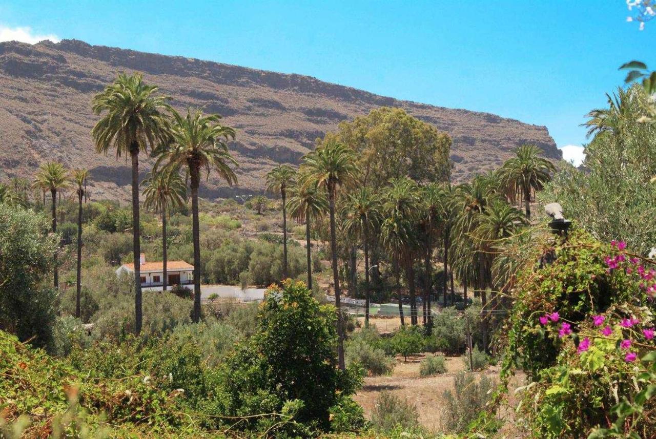 Casa Rural El Olivar La Molienda Santa Lucia エクステリア 写真