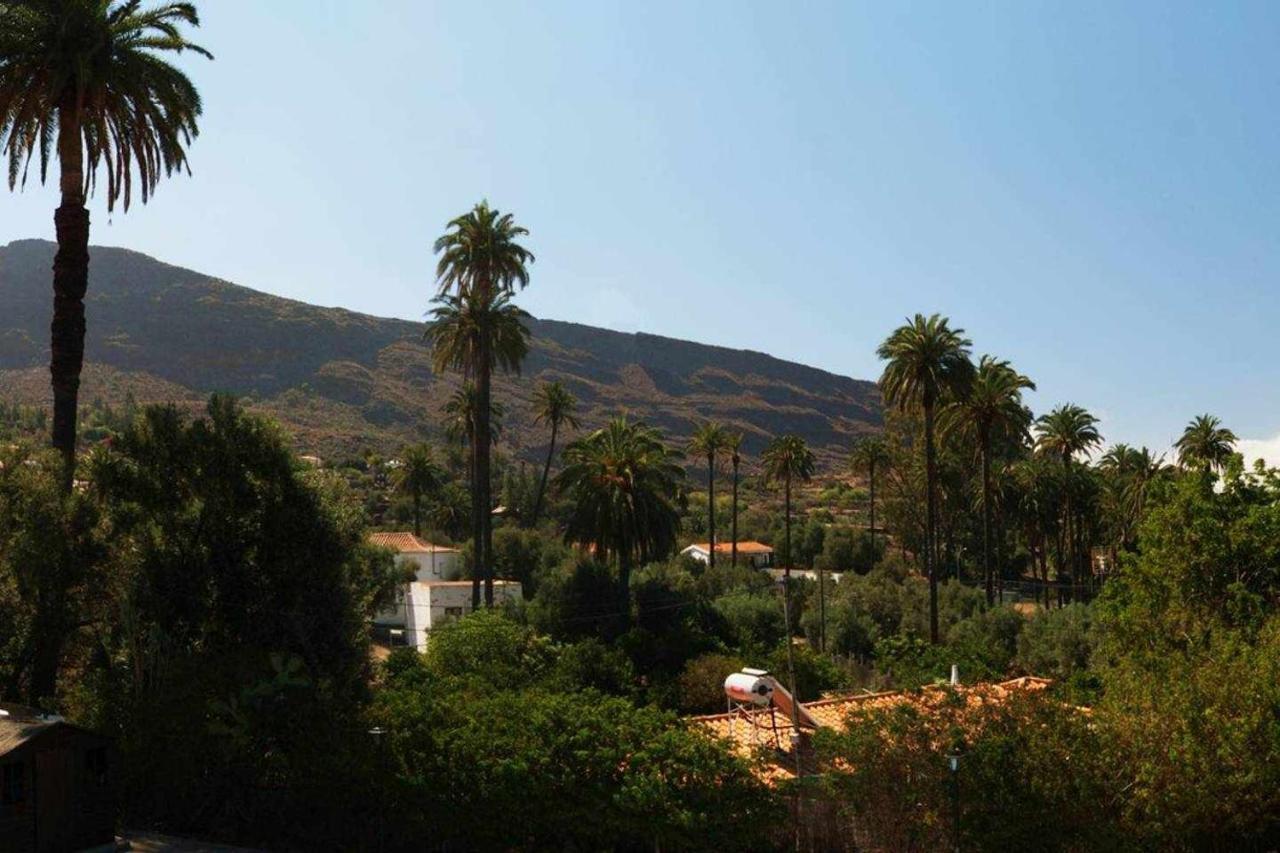 Casa Rural El Olivar La Molienda Santa Lucia エクステリア 写真